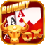 rummy joya icon
